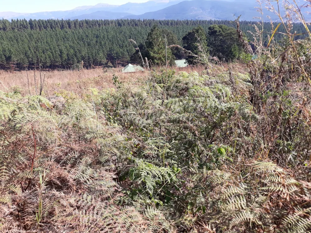 Residential vacant land for sale in Sabie - 1LY1162925 Residential vacant land for sale in Sabie - 1LY1162925