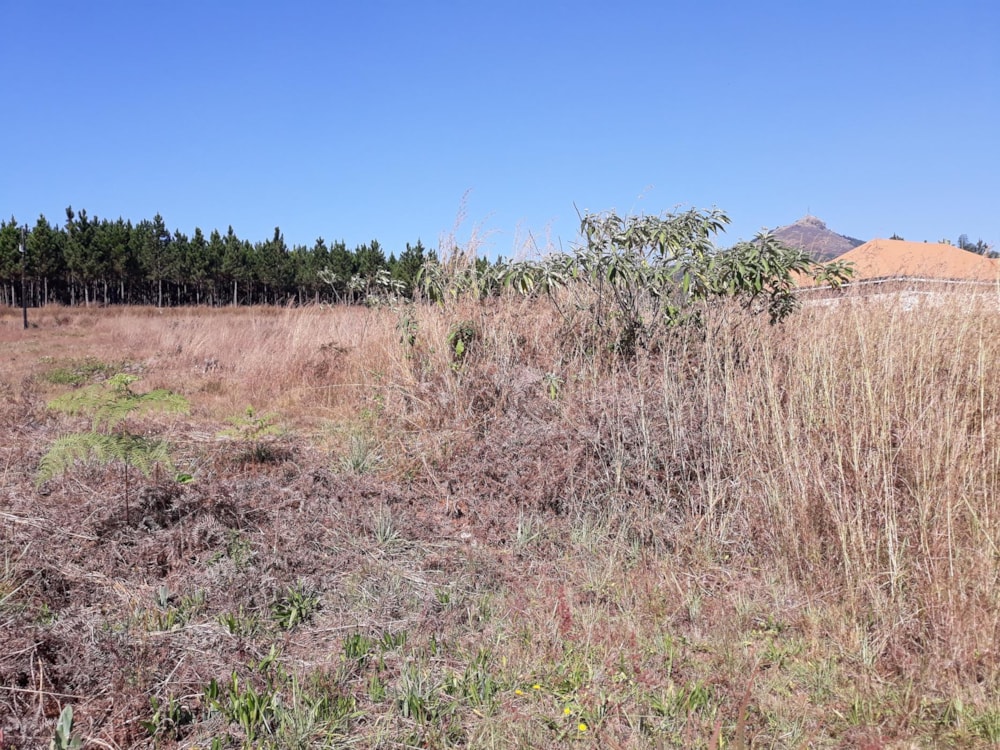 Residential vacant land for sale in Sabie - 1LY1322140