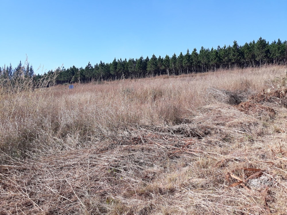 Residential vacant land for sale in Sabie - 1LY1322140