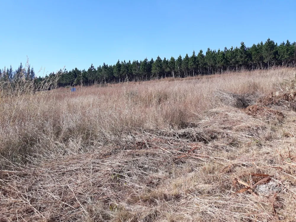 Residential vacant land sold in Sabie - 1LY1322140 Residential vacant land sold in Sabie - 1LY1322140