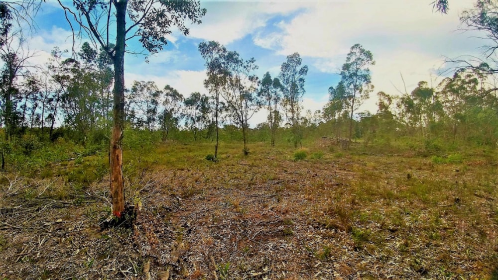 Farm vacant land for sale in Greenbushes - 1PLZ1439207 Farm vacant land for sale in Greenbushes - 1PLZ1439207