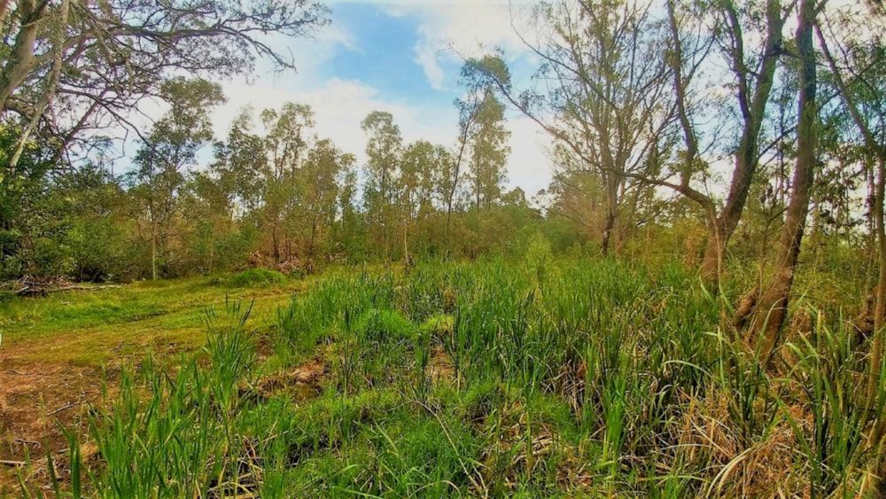 Farm vacant land for sale in Greenbushes - 1PLZ1439207 Farm vacant land for sale in Greenbushes - 1PLZ1439207