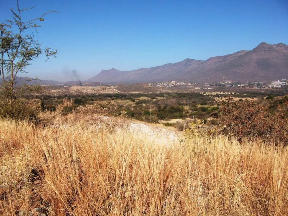 Residential vacant land for sale in Burgersfort - 1LY1446191 Residential vacant land for sale in Burgersfort - 1LY1446191