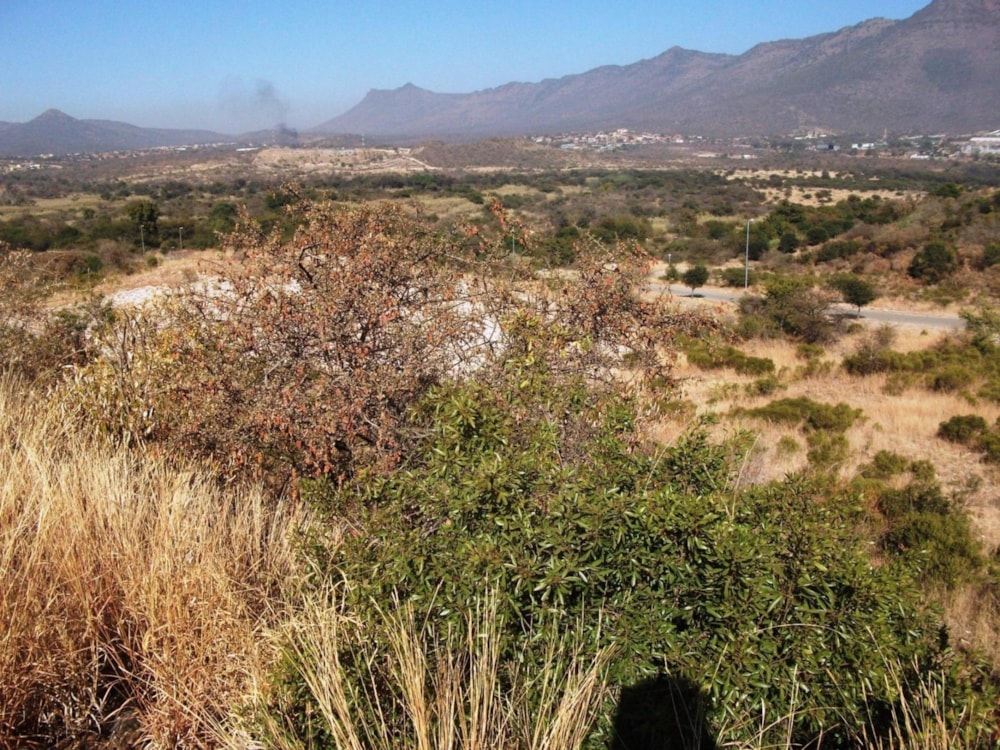 Residential vacant land for sale in Burgersfort - 1LY1446191