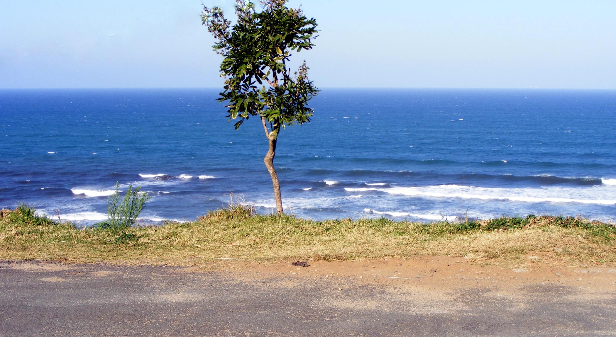 Residential vacant land for sale in Trafalgar - 1PD1446603