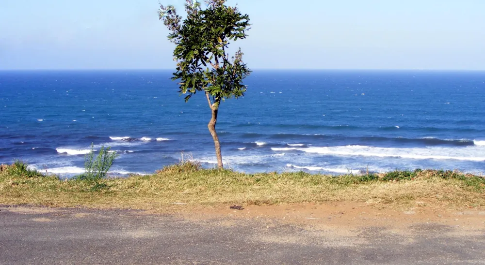 Residential vacant land for sale in Trafalgar - 1PD1446603 Residential vacant land for sale in Trafalgar - 1PD1446603