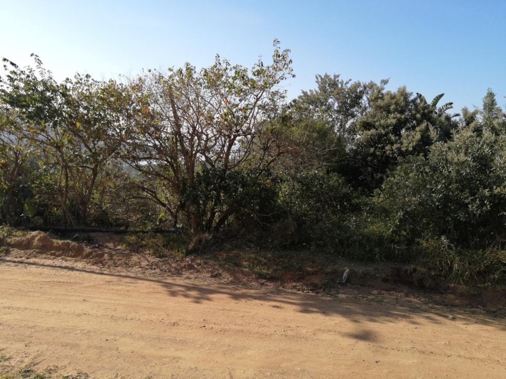 Residential vacant land for sale in Palm Beach - 1PD1447623 Residential vacant land for sale in Palm Beach - 1PD1447623