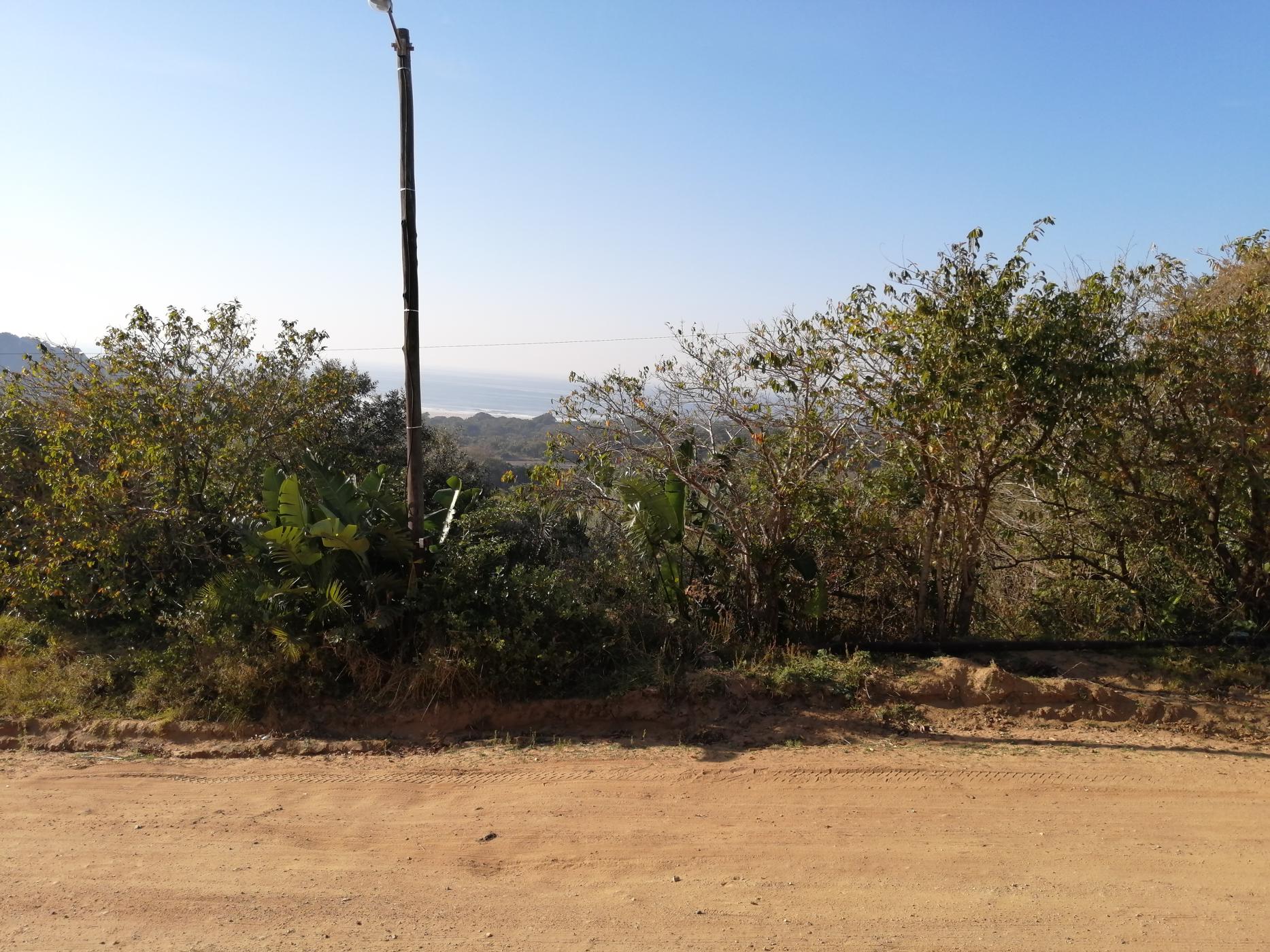 Residential vacant land for sale in Palm Beach - 1PD1447623