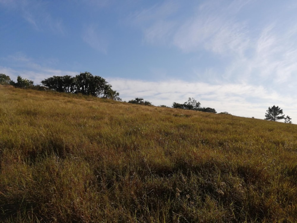 Residential vacant land for sale in Palm Beach - 1PD1447623 Residential vacant land for sale in Palm Beach - 1PD1447623