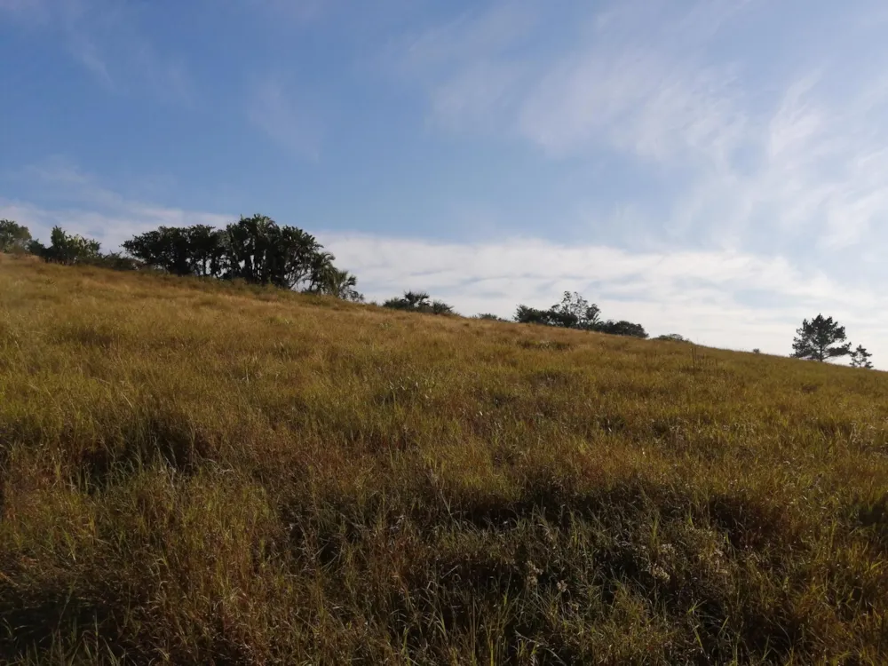 Residential vacant land for sale in Palm Beach - 1PD1447623 Residential vacant land for sale in Palm Beach - 1PD1447623