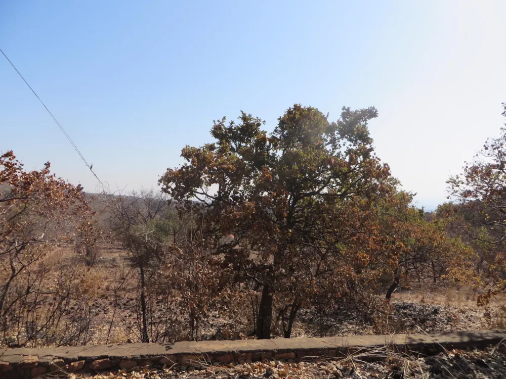 Mixed use farm for sale in Zandfontein, Hartbeespoort - 1HR1448418