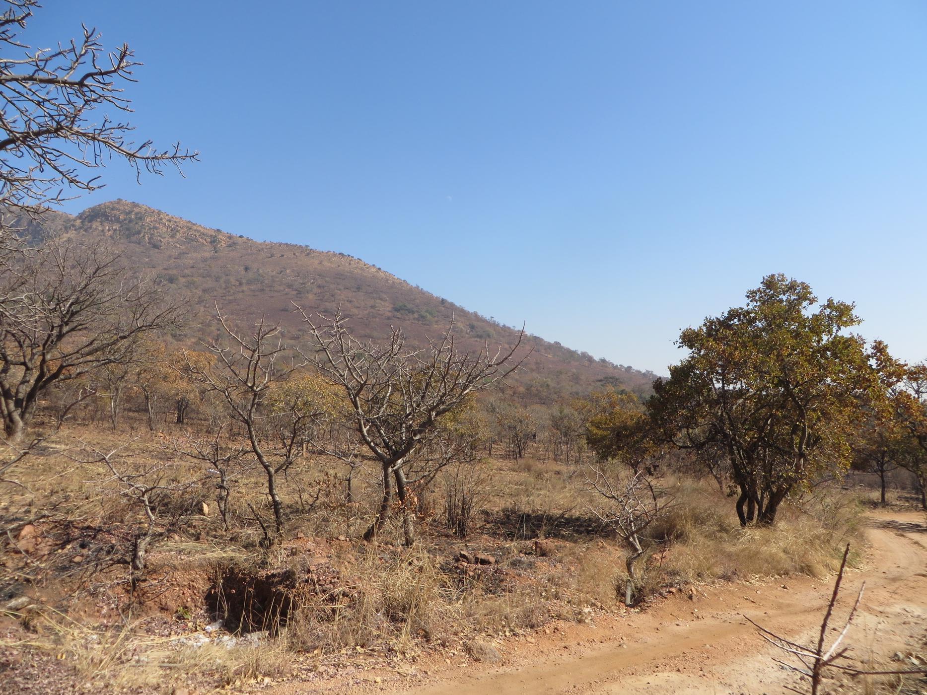 Mixed use farm for sale in Zandfontein, Hartbeespoort - 1HR1448418