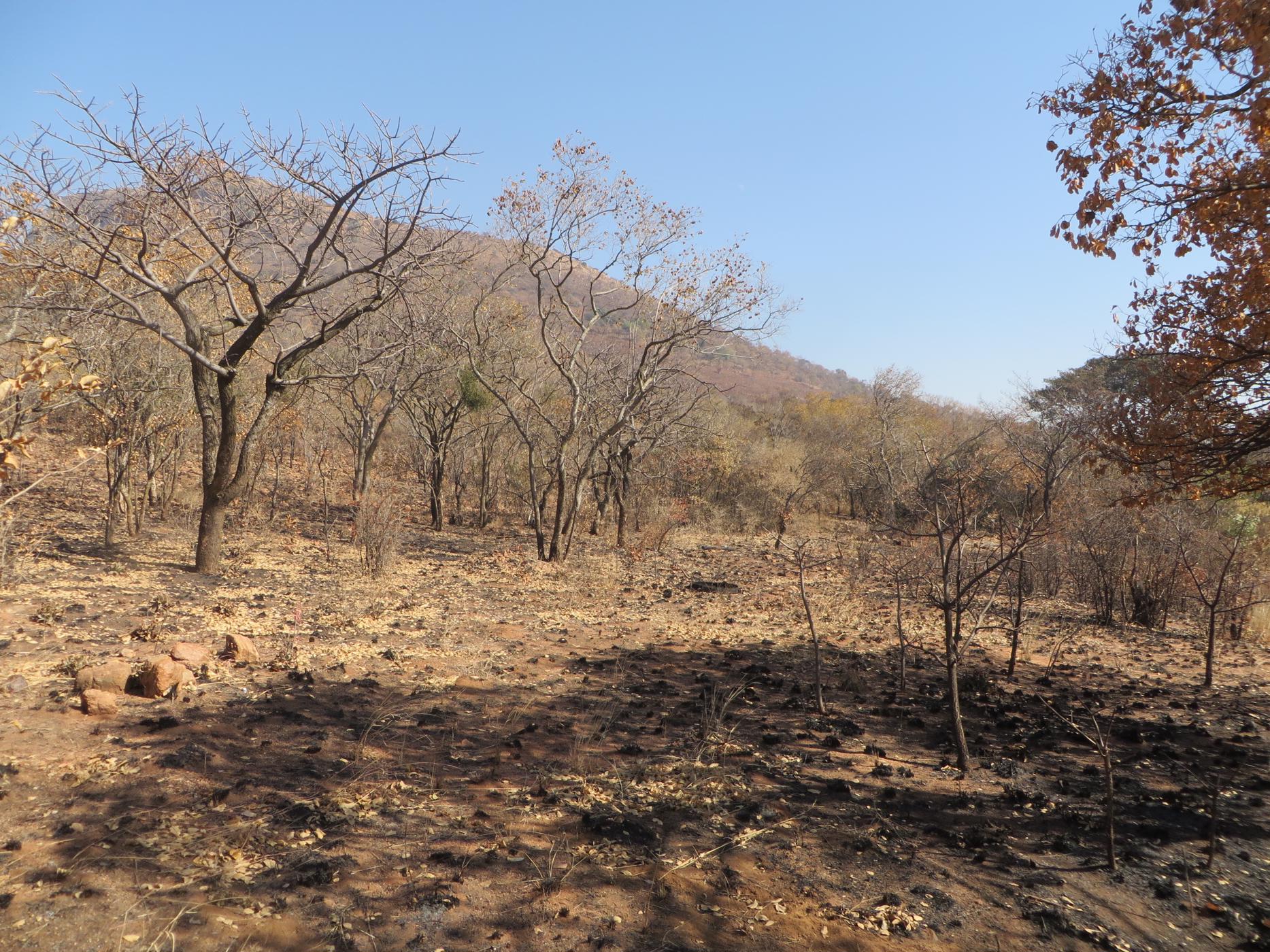 Mixed use farm for sale in Zandfontein, Hartbeespoort - 1HR1448418