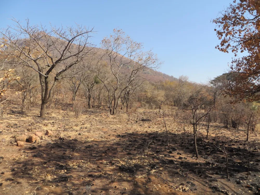 Mixed use farm for sale in Zandfontein, Hartbeespoort - 1HR1448418