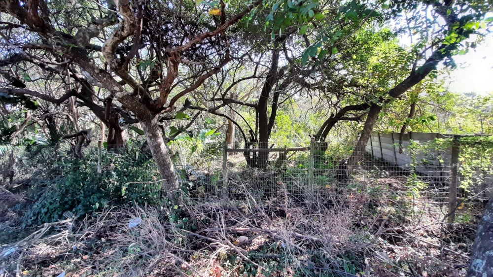 Vacant land for sale in Pennington - 1SI1607644