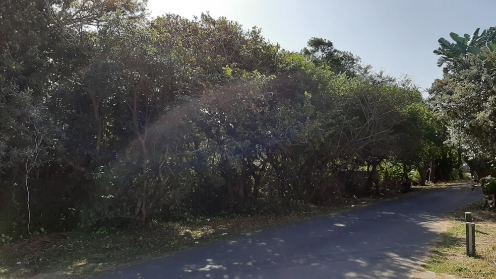 Vacant land for sale in Pennington - 1SI1607644