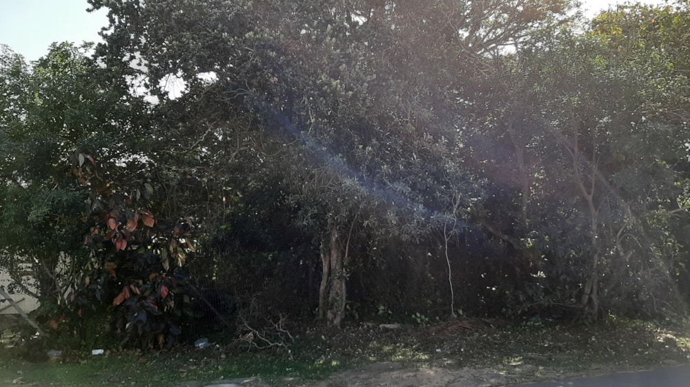 Vacant land for sale in Pennington - 1SI1607644