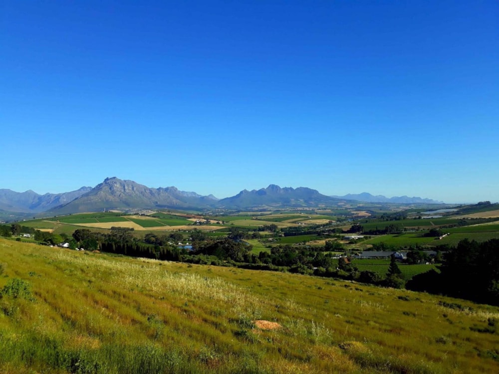 House to rent in Stellenbosch Farms - STL1752378 House to rent in Stellenbosch Farms - STL1752378