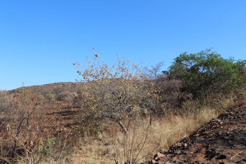 Vacant land for sale in Waterval East - 1RU1455650