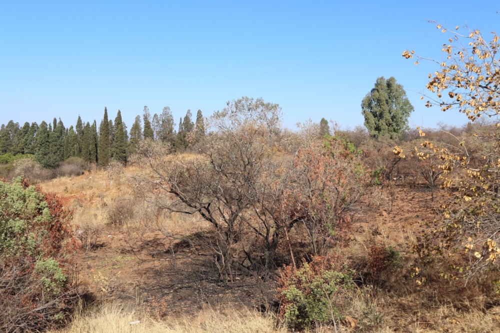 Vacant land for sale in Waterval East - 1RU1455650