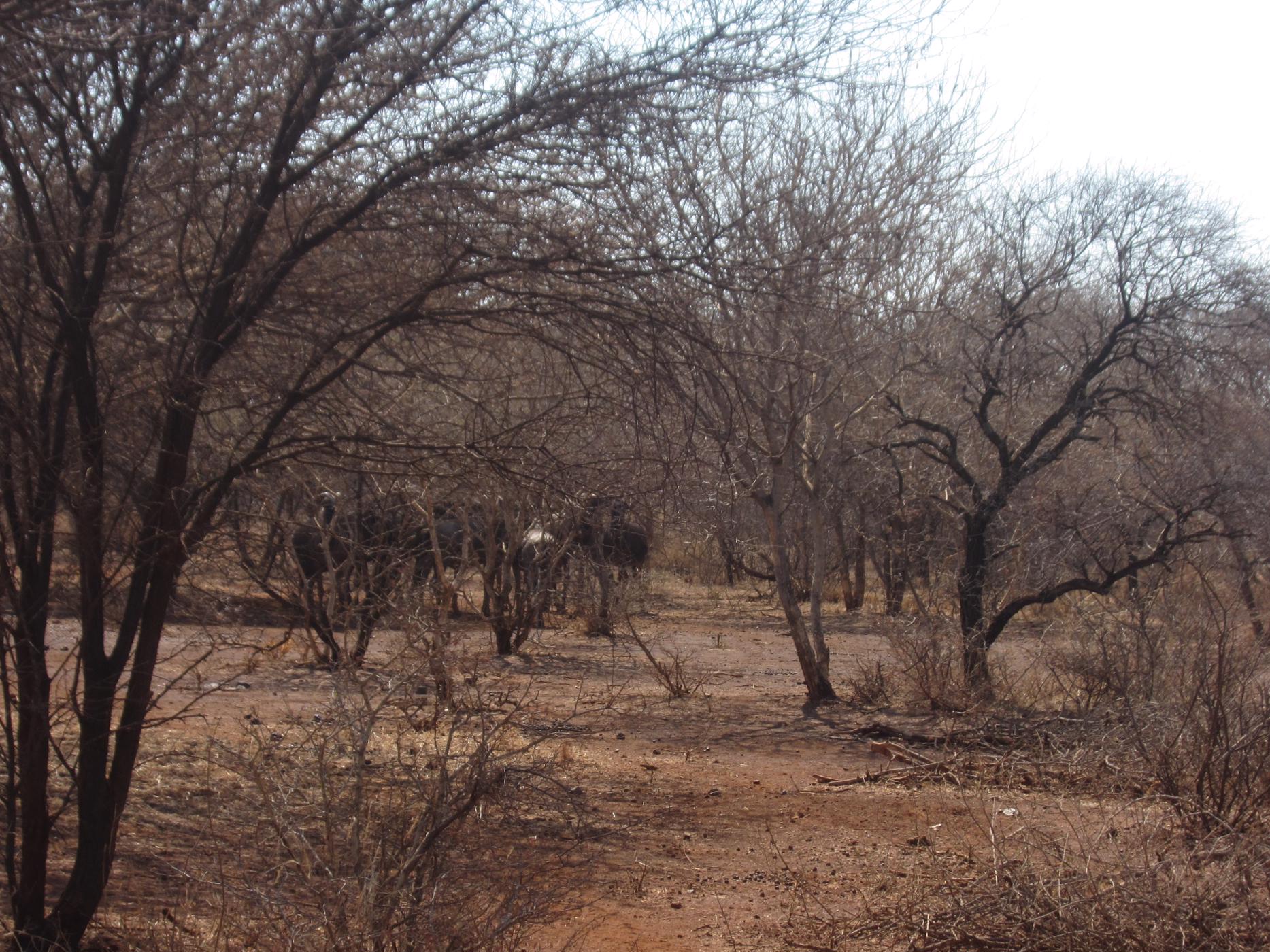 Residential vacant land for sale in Northam - 1ER1456364