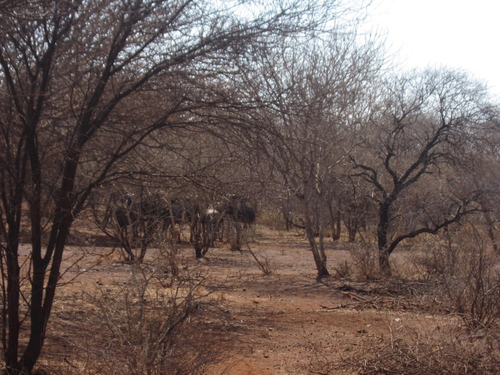 Residential vacant land for sale in Northam - 1ER1456364