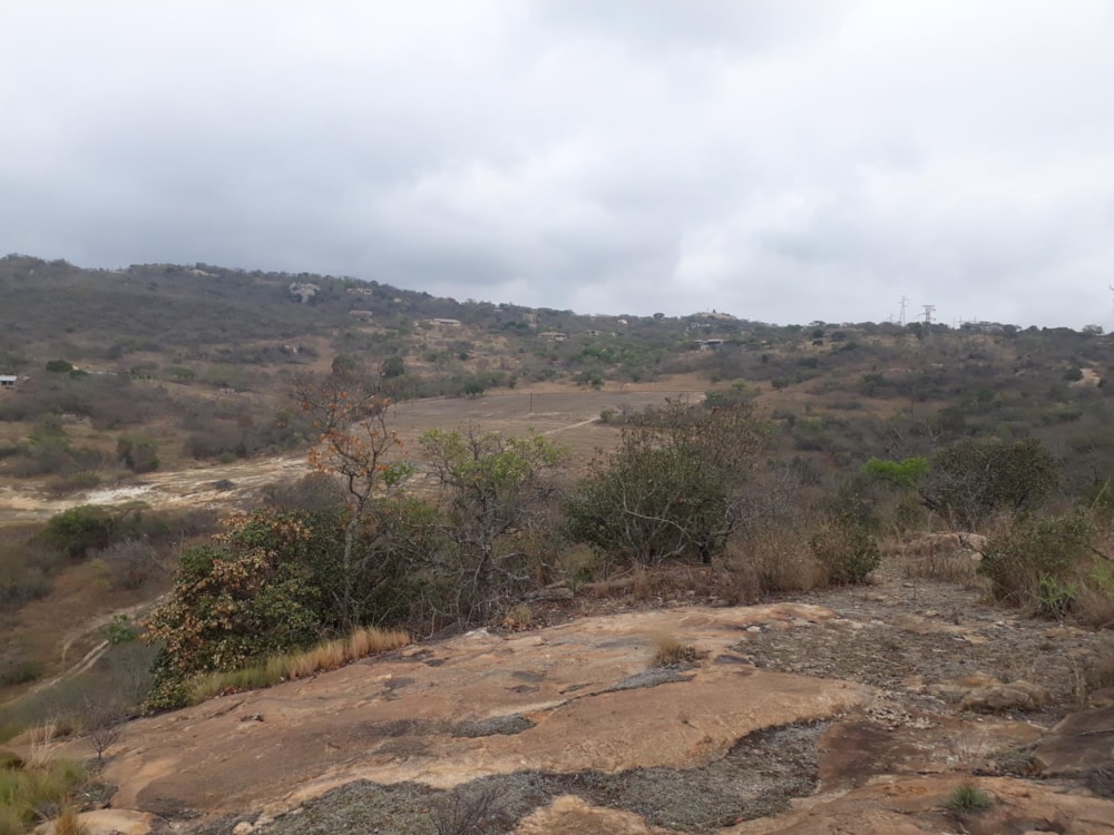 Mixed use farm for sale in Nelspruit (Mbombela) - 1NS1645521 Mixed use farm for sale in Nelspruit (Mbombela) - 1NS1645521