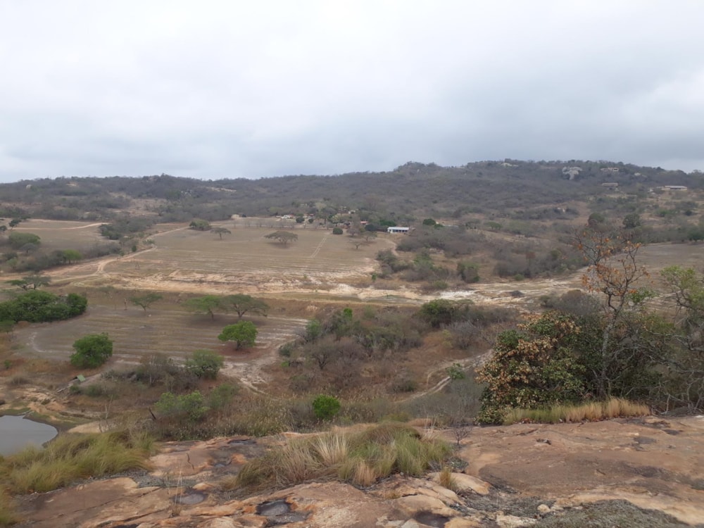 Mixed use farm for sale in Nelspruit (Mbombela) - 1NS1645521 Mixed use farm for sale in Nelspruit (Mbombela) - 1NS1645521