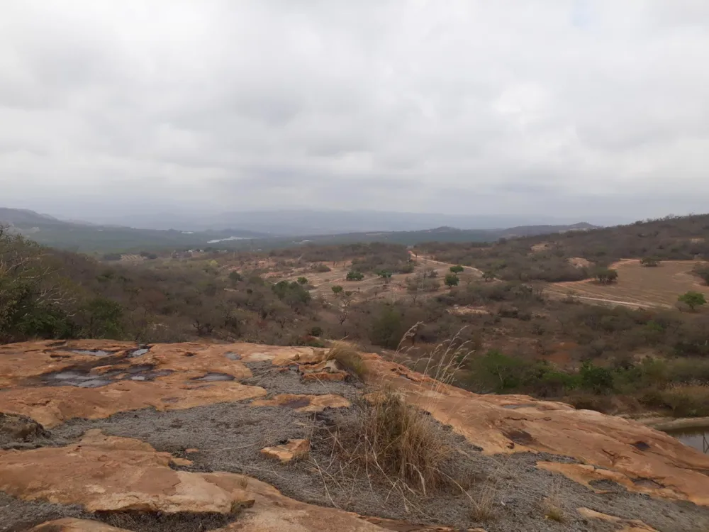 Mixed use farm for sale in Nelspruit (Mbombela) - 1NS1645521