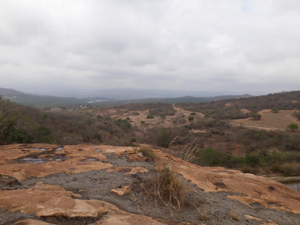 Mixed use farm for sale in Nelspruit (Mbombela) - 1NS1645521 Mixed use farm for sale in Nelspruit (Mbombela) - 1NS1645521