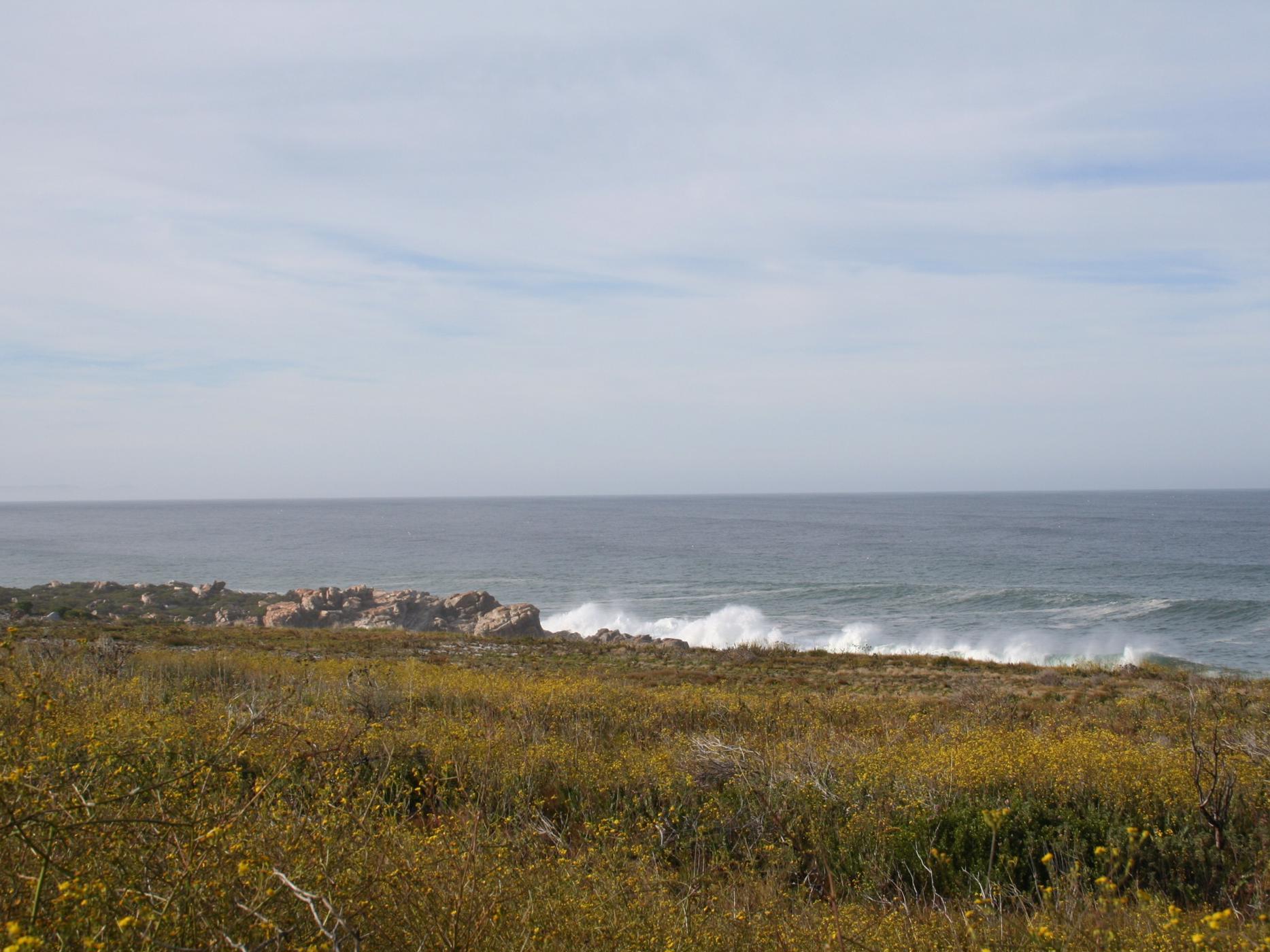 Smallholding for sale in Bettys Bay - KN1356936