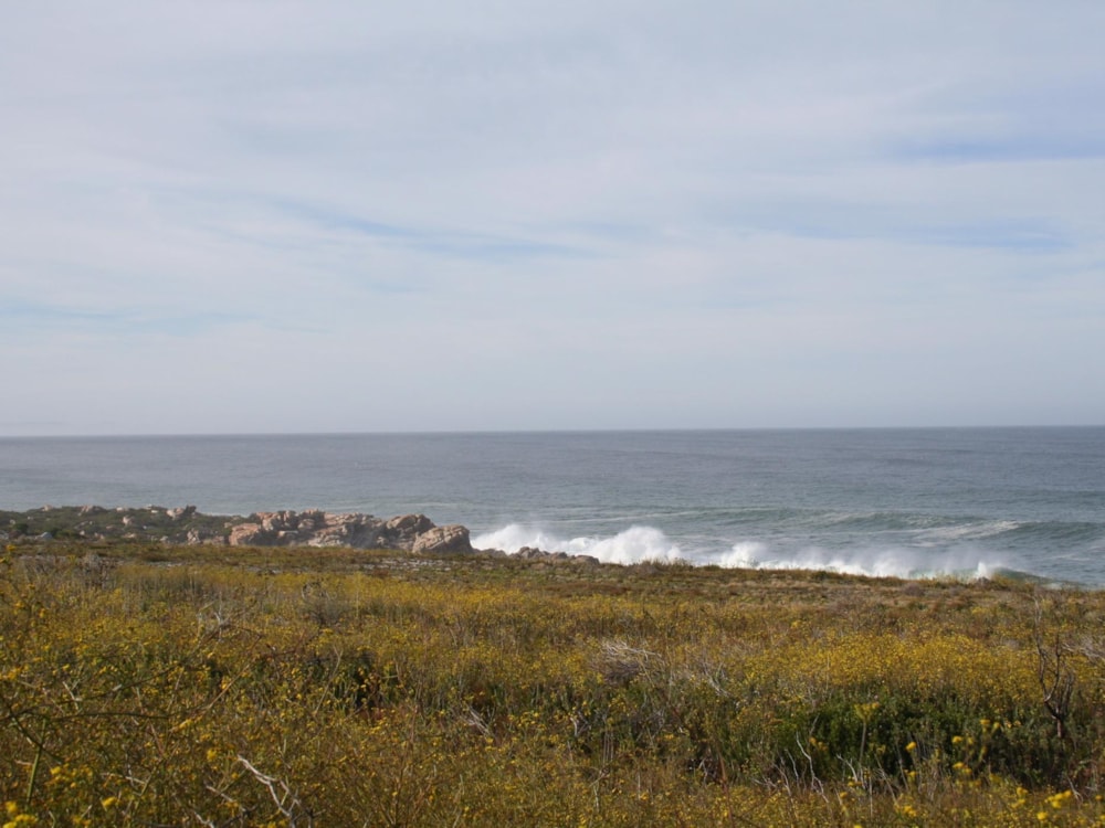 Smallholding for sale in Bettys Bay - KN1356936