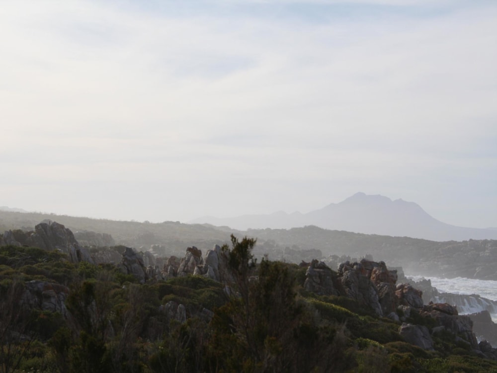 Smallholding for sale in Bettys Bay - KN1356936