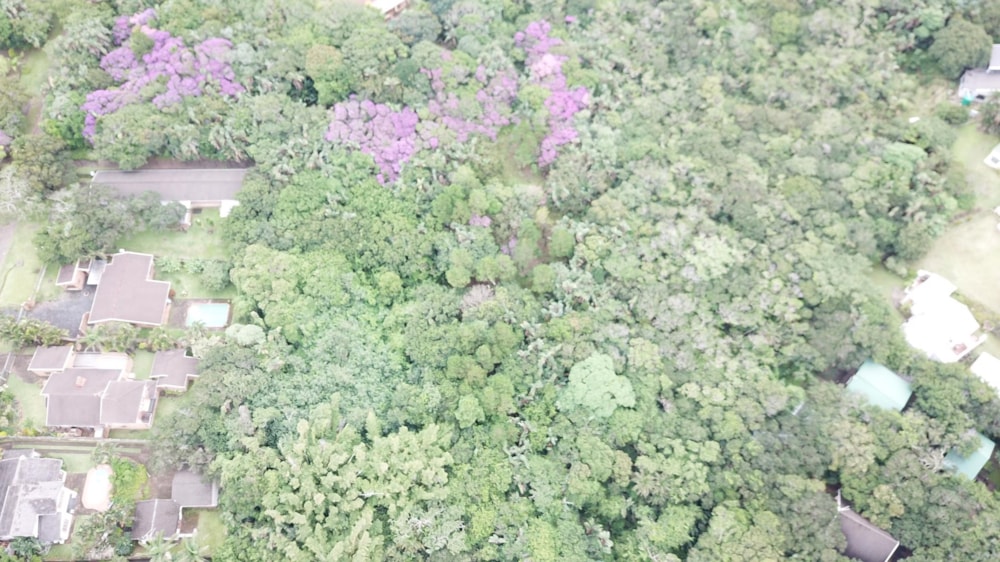 Vacant land for sale in Leisure Bay - 1PD1439444