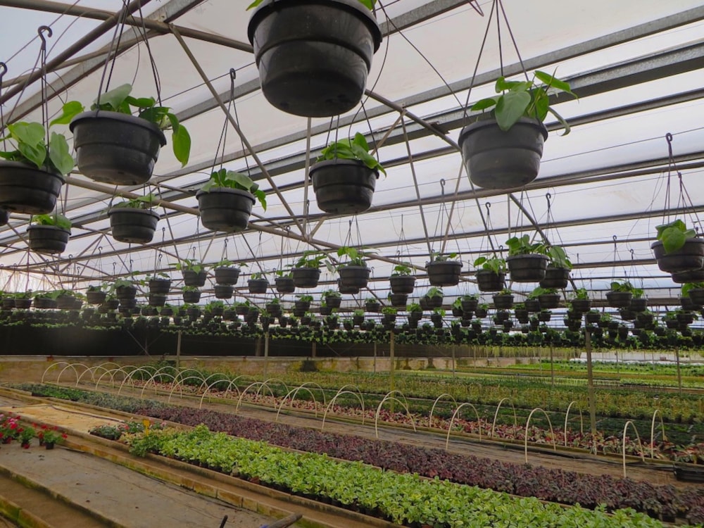 Commercial business for sale in Skeerpoort - 1HR1458803 Commercial business for sale in Skeerpoort - 1HR1458803