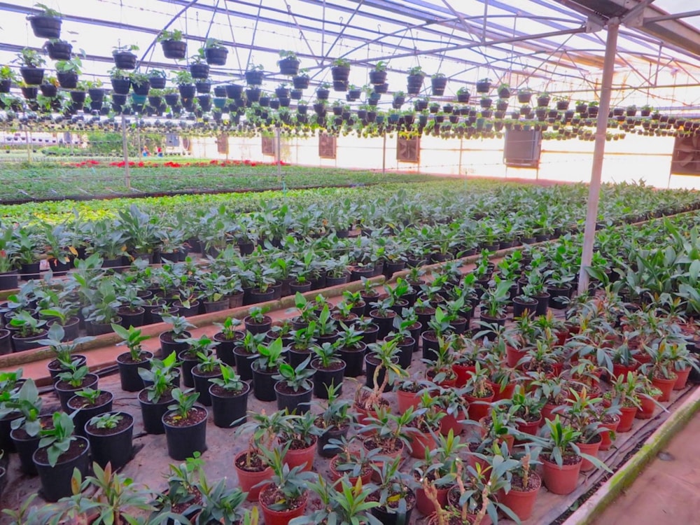 Commercial business for sale in Skeerpoort - 1HR1458803 Commercial business for sale in Skeerpoort - 1HR1458803