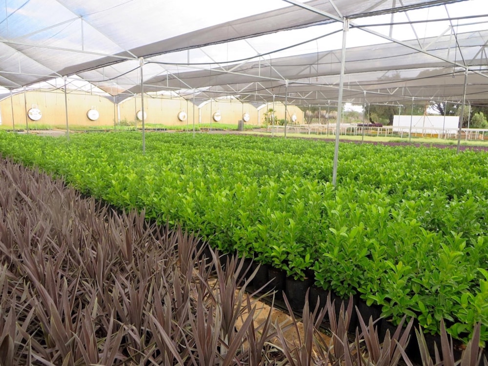 Commercial business for sale in Skeerpoort - 1HR1458803 Commercial business for sale in Skeerpoort - 1HR1458803