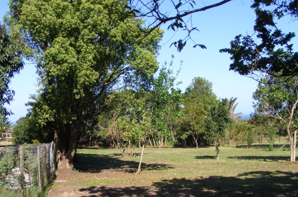 Residential vacant land for sale in Banners Rest - 1PD1458796 Residential vacant land for sale in Banners Rest - 1PD1458796