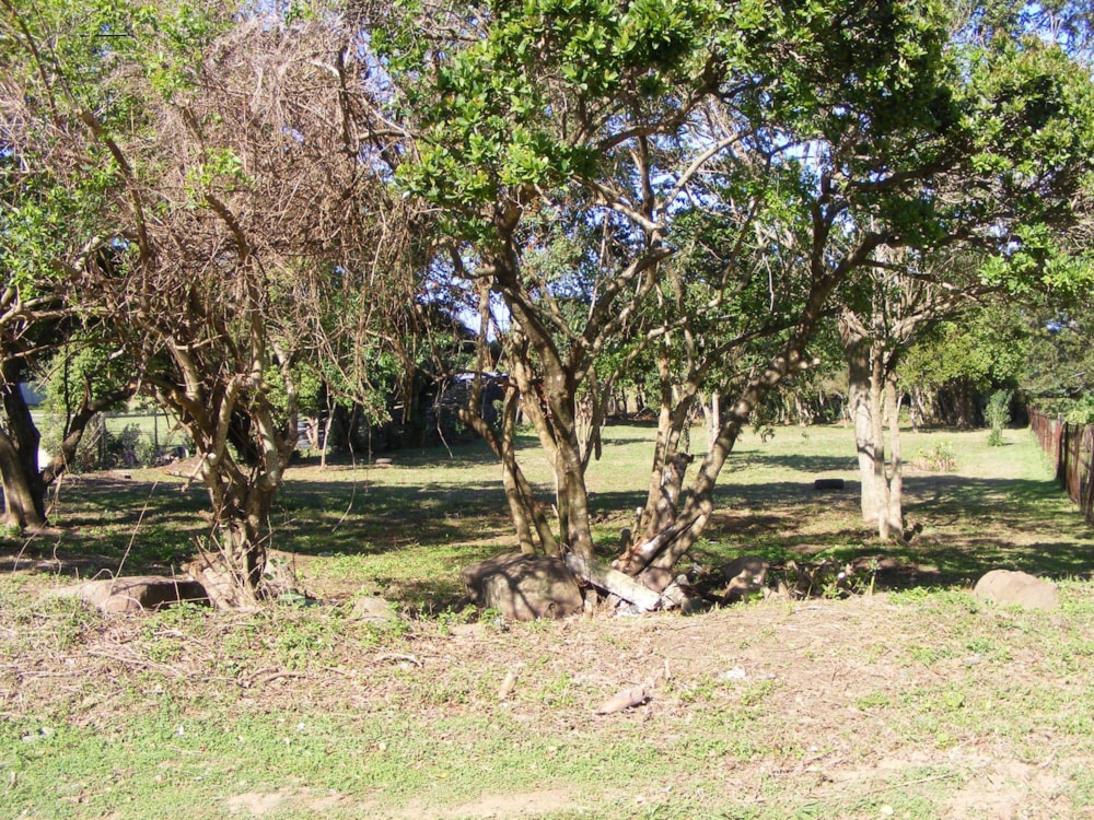 Residential vacant land for sale in Banners Rest - 1PD1458796