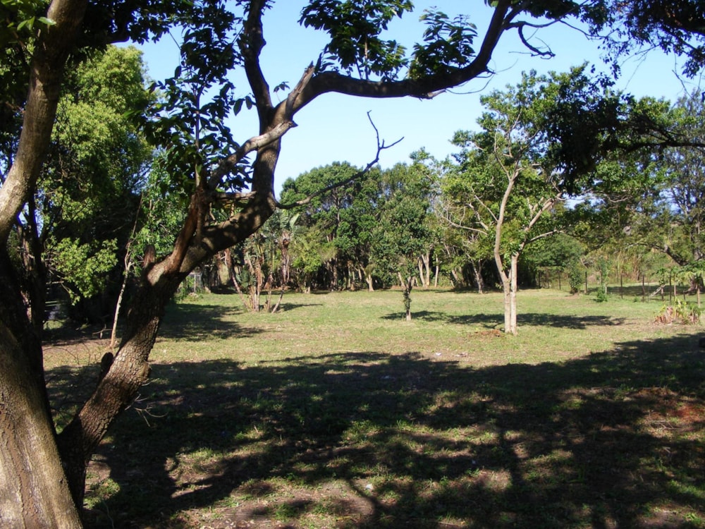 Residential vacant land for sale in Banners Rest - 1PD1458796