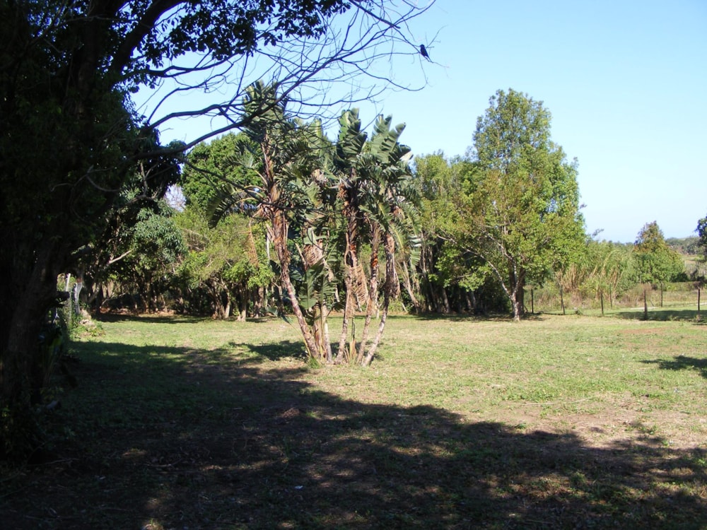 Residential vacant land for sale in Banners Rest - 1PD1458796 Residential vacant land for sale in Banners Rest - 1PD1458796