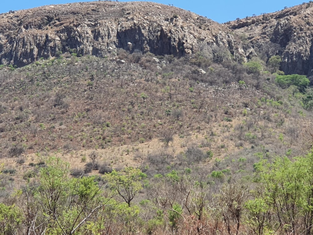 Vacant land for sale in Rietfontein, Hartbeespoort - 1HR1461376