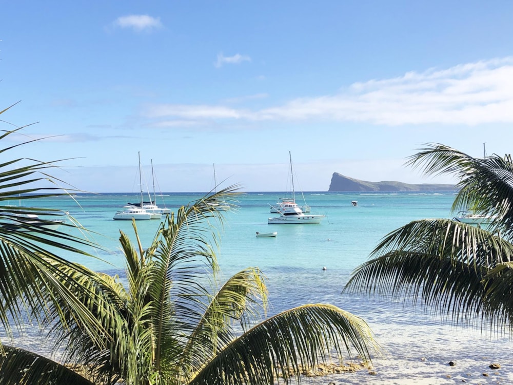 Apartment for sale in Pereybere, Mauritius - MPR1462282