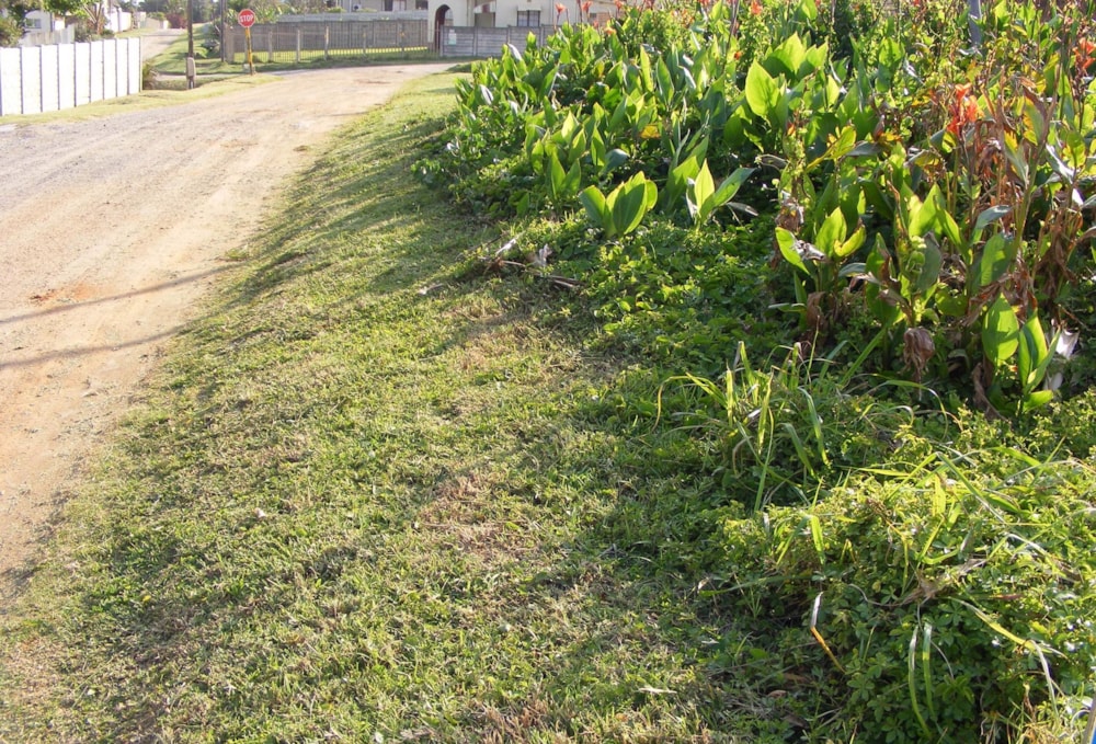 Vacant land for sale in Port Edward - 1PD1461821