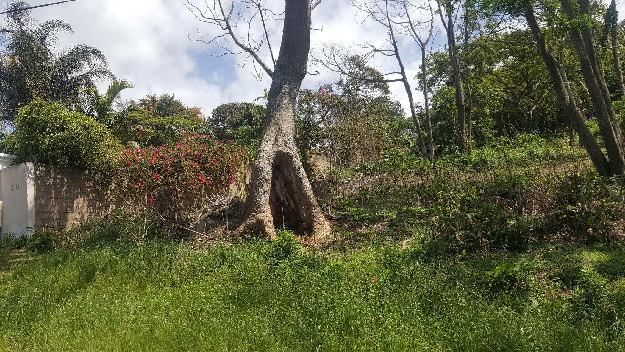 Vacant land for sale in Umtentweni - 1UW1194348