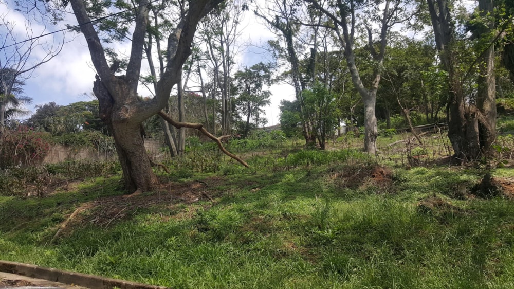 Vacant land for sale in Umtentweni - 1UW1194348