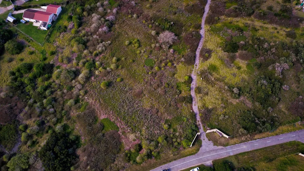 Residential vacant land for sale in Forest Downs - 1PF1459085