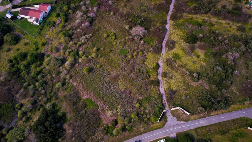 Residential vacant land for sale in Forest Downs - 1PF1459085 Residential vacant land for sale in Forest Downs - 1PF1459085