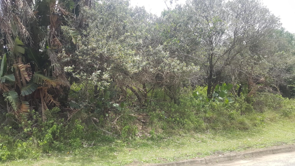 Vacant land for sale in Hibberdene - 1UW1464979