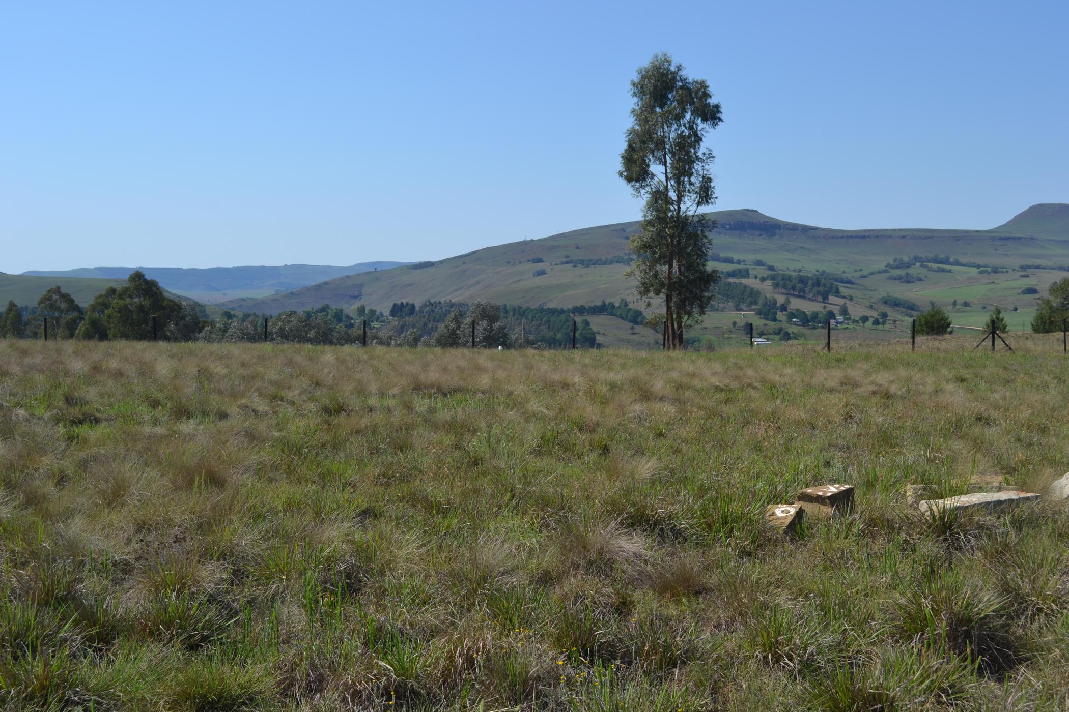 Vacant land for sale in Underberg - 1UB1683424